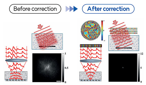 Holographic Microscopy